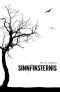 [Sinnfinsternis 01] • Sinnfinsternis